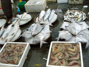湛江海鲜市场