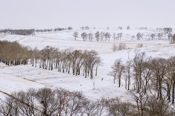 坝上春雪