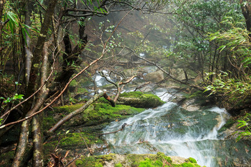 深山溪流