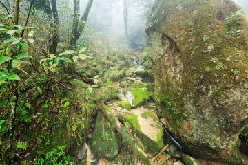 山石与苔藓