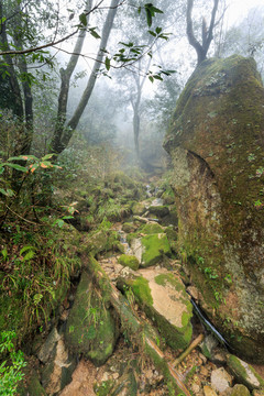 山石与苔藓