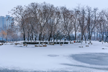 公园雪景