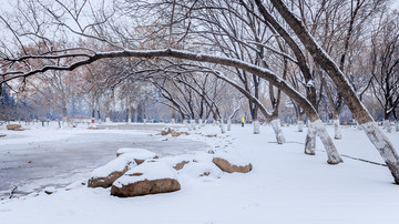 公园雪景