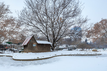 公园雪景