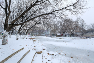 公园雪景