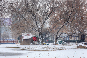 公园雪景