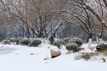 公园雪景