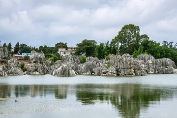 石林风景