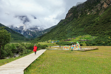 高山草甸风光