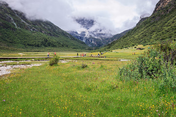 高山花海