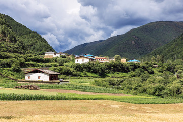 香格里拉风光