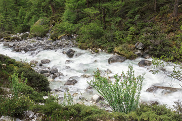 山涧溪流