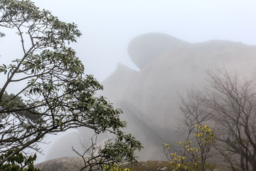 雾锁天柱山