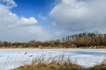 湿地冬景