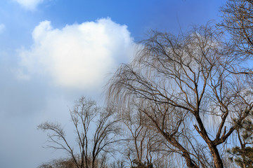 冬日里的蓝天白云