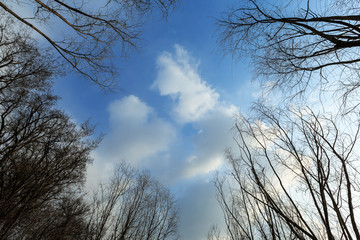 冬日里的蓝天白云