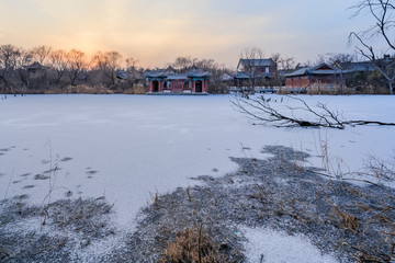 暮色中的冰雪湿地