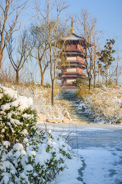 雪后园林