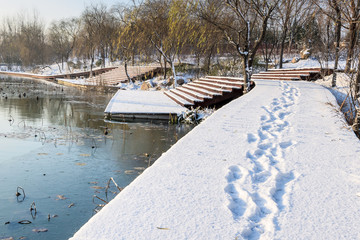 湿地公园雪景