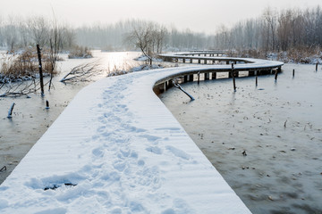 雪后的湿地公园