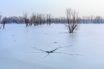 雪后的湿地