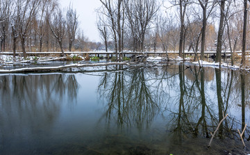 雪后