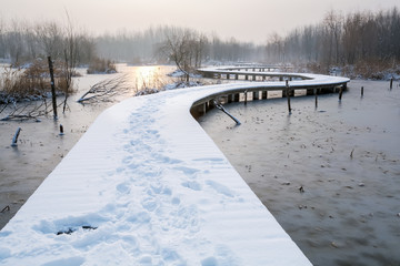 雪后的湿地