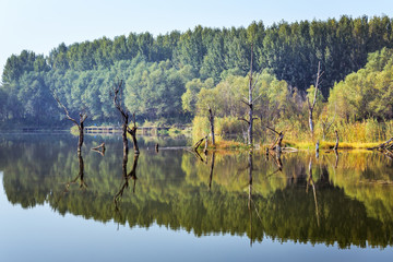 湿地秋景