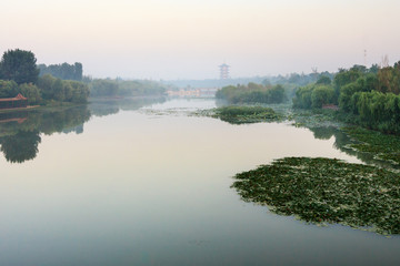 清晨的湿地景色