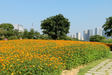 福州花海公园