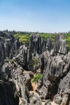 云南石林风景区