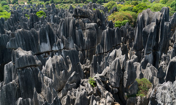 云南石林风景区