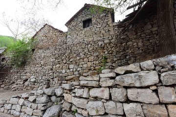 山村古树石墙