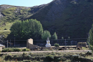 高山草甸 牧场