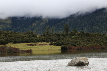 湿地 云山雾海