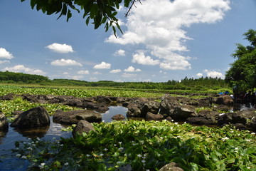 田园风光