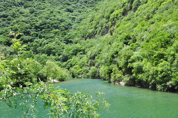 青山绿水