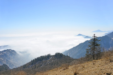 从日月坪远眺 西岭雪山云海群峰