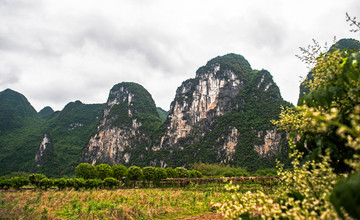 桂林山水 杨堤 浪石村