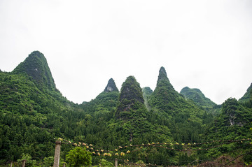 桂林山水 杨堤 浪石村