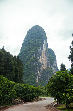 桂林山水 杨堤