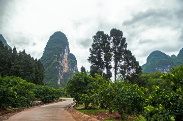 桂林山水 杨堤