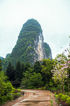 桂林山水 杨堤