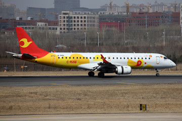 天津航空 彩绘飞机 降落