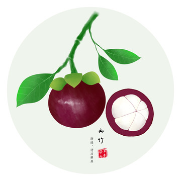 山竹 手繪山竹
