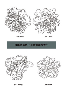 薔薇花線圖