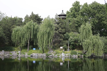 清华大学近春园