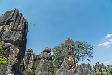 云南石林景区