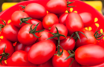 圣女果 西红柿