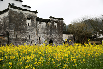 上饶市 婺源县 思溪延村景区